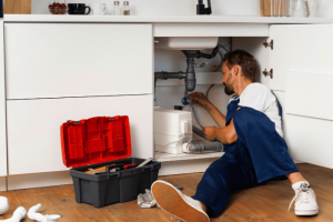 Image gallery marquee